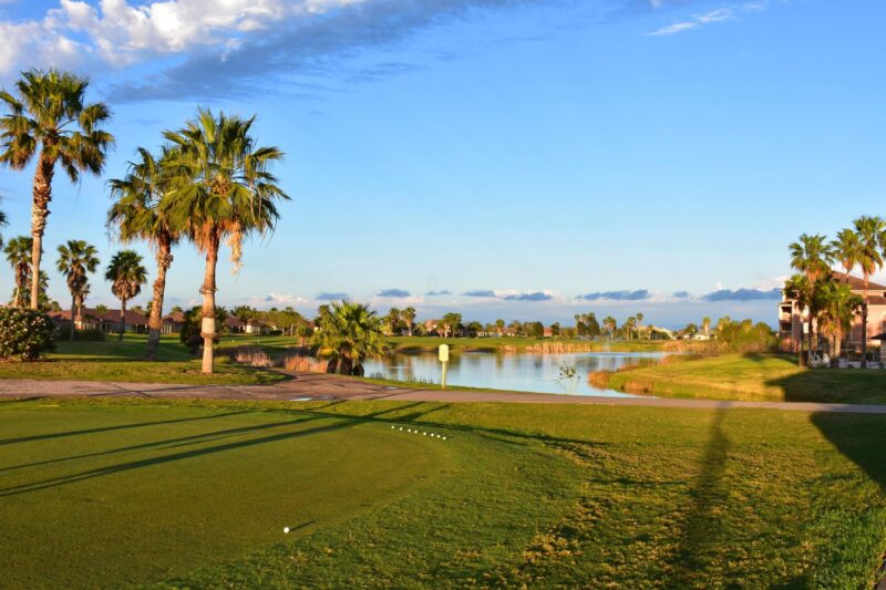 A beautiful golf course with swaying palm trees and a sparkling water view, ideal for a day of golfing and relaxation.
